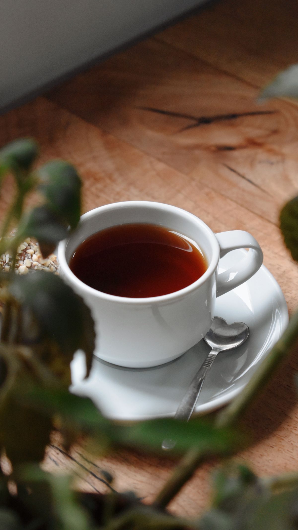 緑に囲まれたテーブルに置かれた温かいお茶